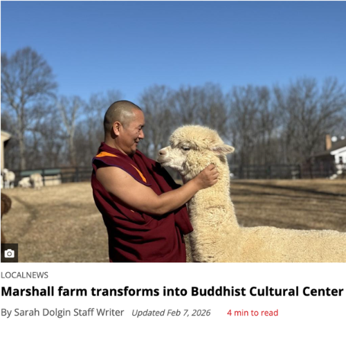 Shingza Rinpoche with his alpaca