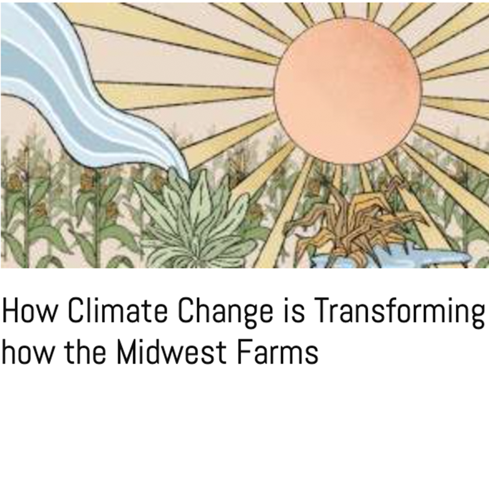 illustration of a farm field and the sun over the farm